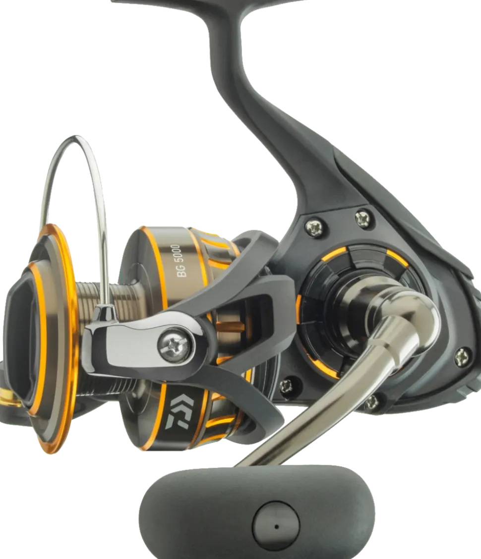 Daiwa BG 2500