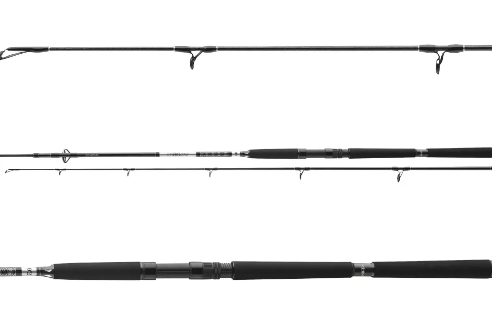 Daiwa 23 BG Offshore Pilk 2,10m 40-125g