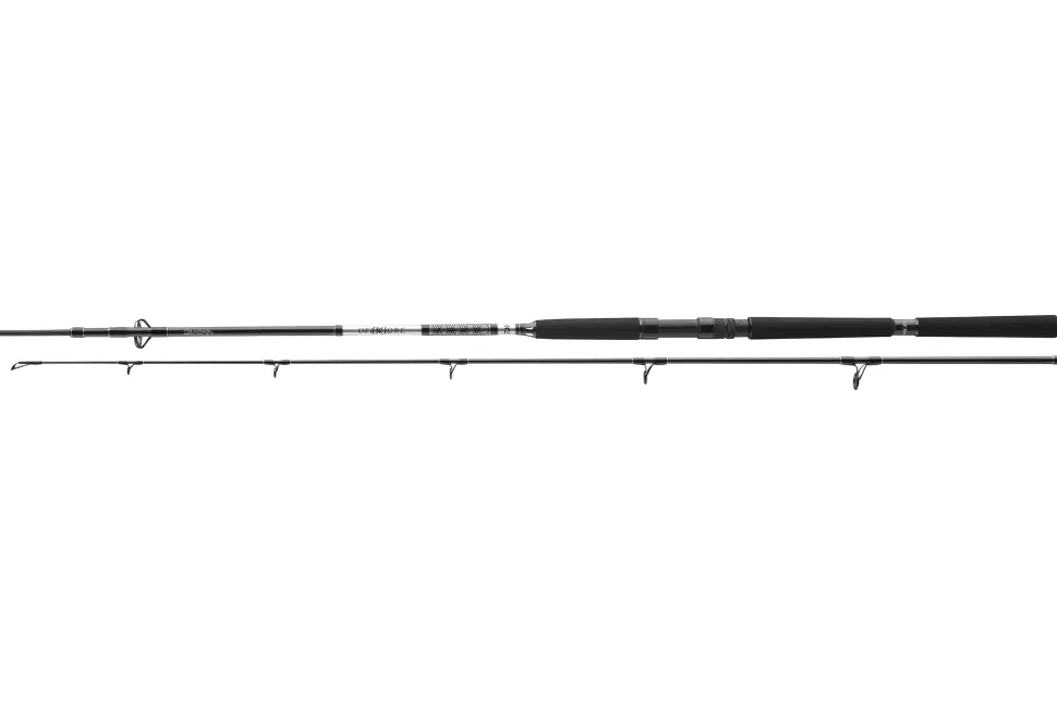 Daiwa 23 BG Offshore Pilk 2,40m 40-125g
