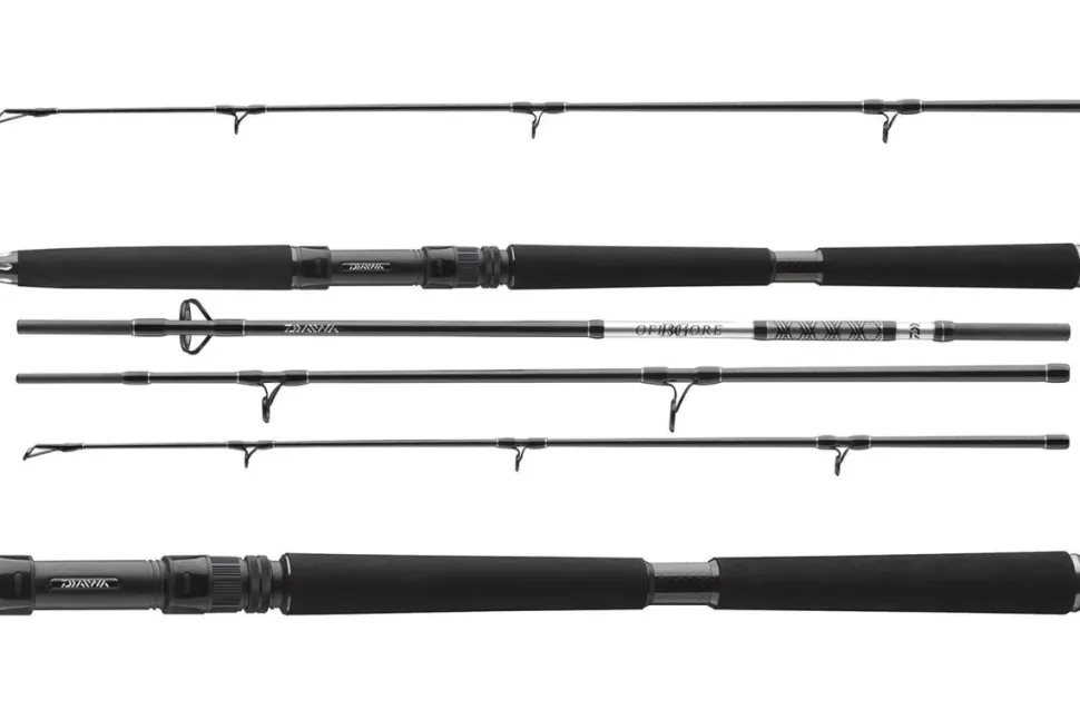 Daiwa 23 BG Offshore Travel Boat 2,25m 150-500g