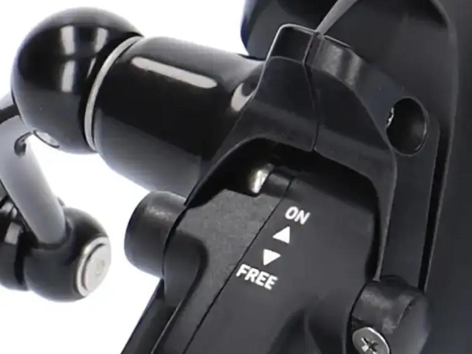 Daiwa 19 Black Widow BR LT 5000-C
