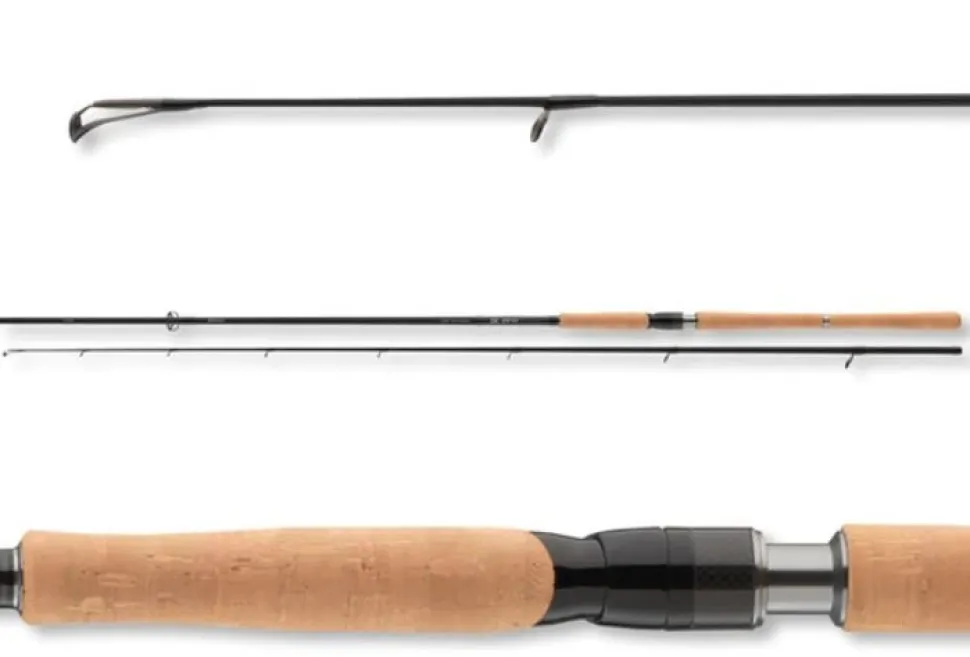Daiwa DW Pro Staff Big Bait Hechtrute 2,50m 60-140g