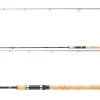 Daiwa Exceler Tradaditional Spin 2,70m 10-40g