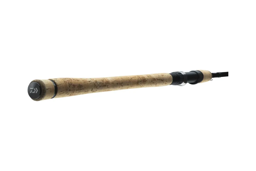 Daiwa Exceler Tradaditional Spin 2,70m 10-40g