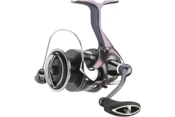 Daiwa 24 Regal LT 1000 D-XH
