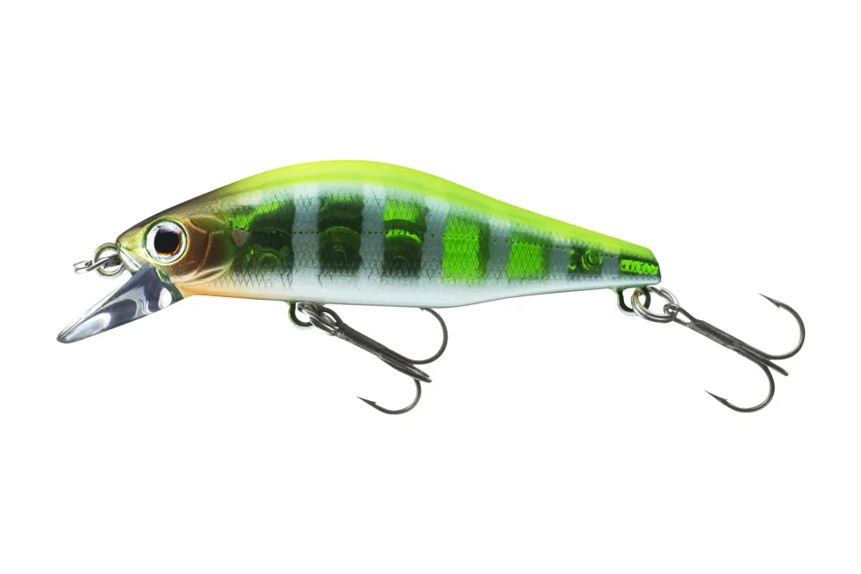 Daiwa Tournament Wise Minnow 50FS Chart Back Pearl