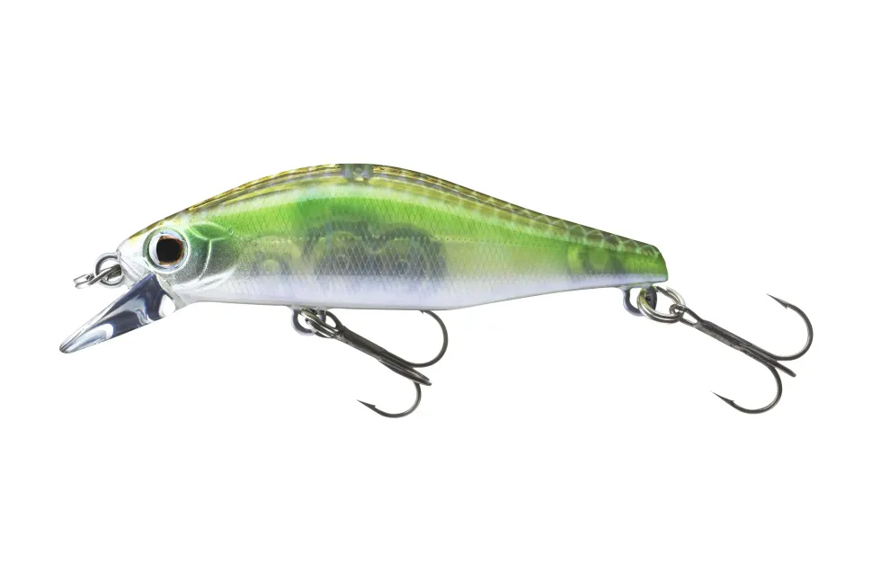 Daiwa Tournament Wise Minnow 50FS Chart Back Pearl