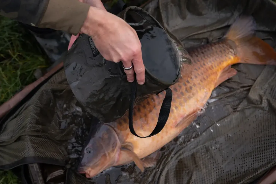 Korda Compac Water Bucket