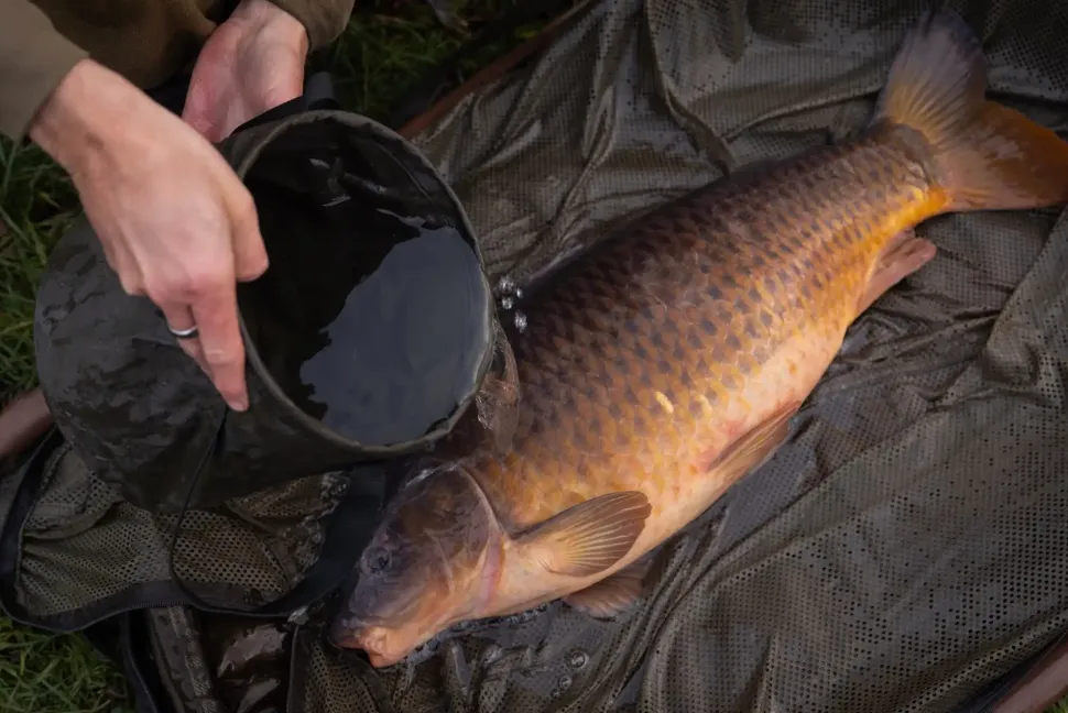 Korda Compac Water Bucket