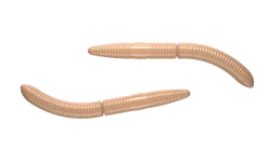 Libra Lures Fatty D'Worm 65 Cheese 6,5cm 001 - white