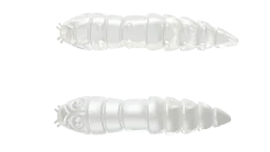 Libra Lures Kukolka 42 Knoblauch 4,2cm 001 - white