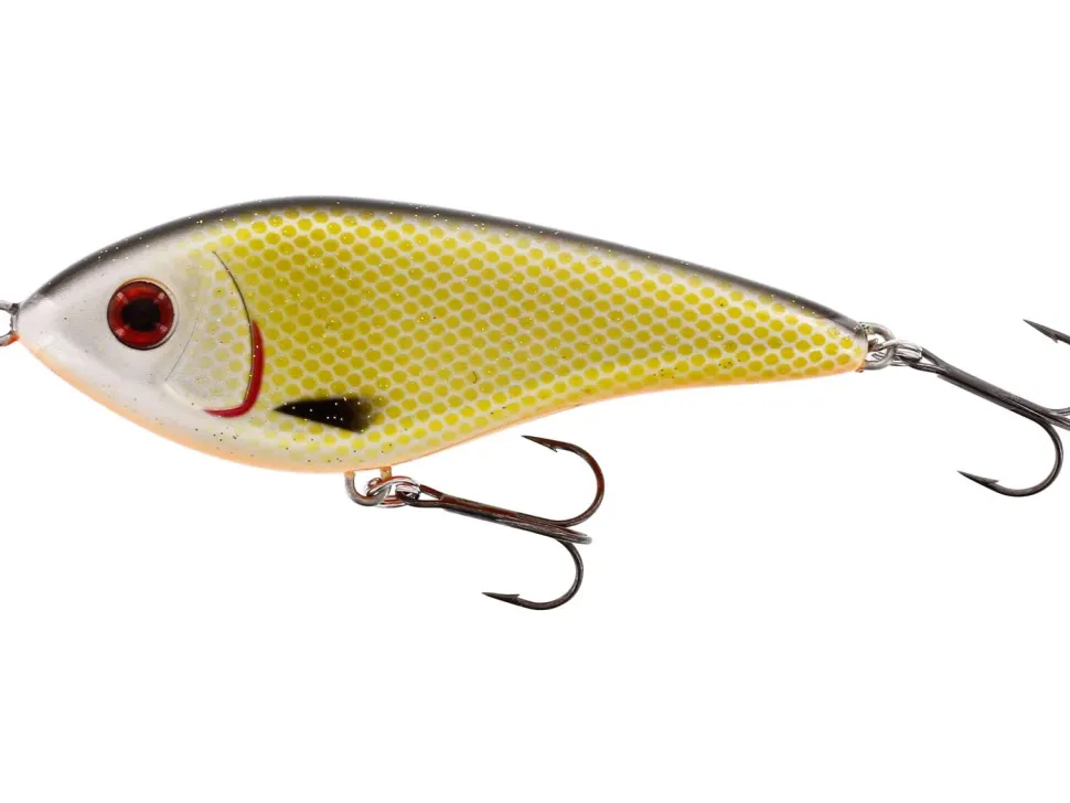 Westin Swim S 8cm Official Roach