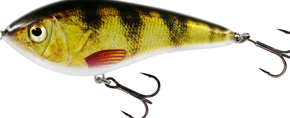 Westin Swim S 8cm Official Roach