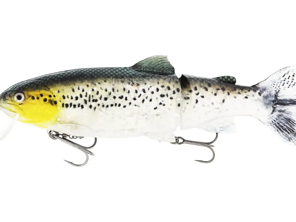 Westin Tommy the Trout Slow Sink 25cm Real Rainbow Trout